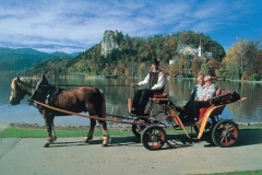 Visit Bled